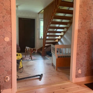 Test avlånga bilder - Test